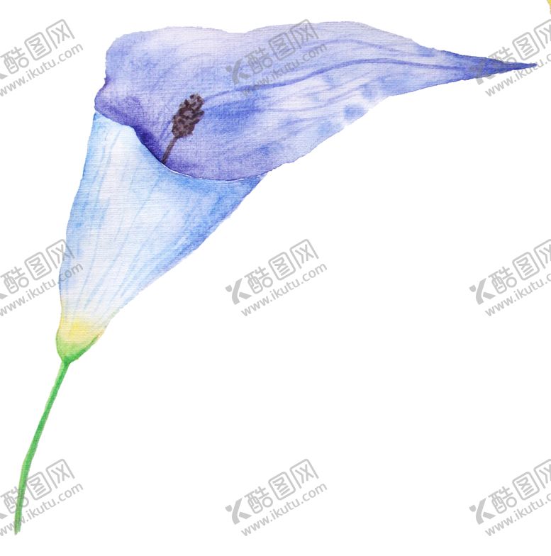 编号：43863709172306048231【酷图网】源文件下载-彩绘植物