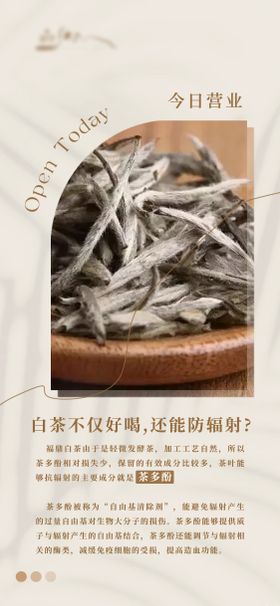 白茶日签小知识系列