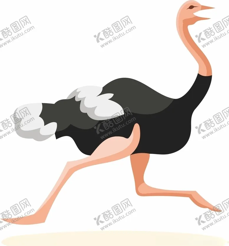 编号：60555005081109511015【酷图网】源文件下载-鸵鸟