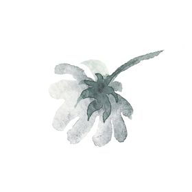 小清新水彩植物树枝