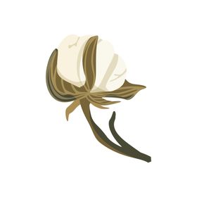 森系花枝