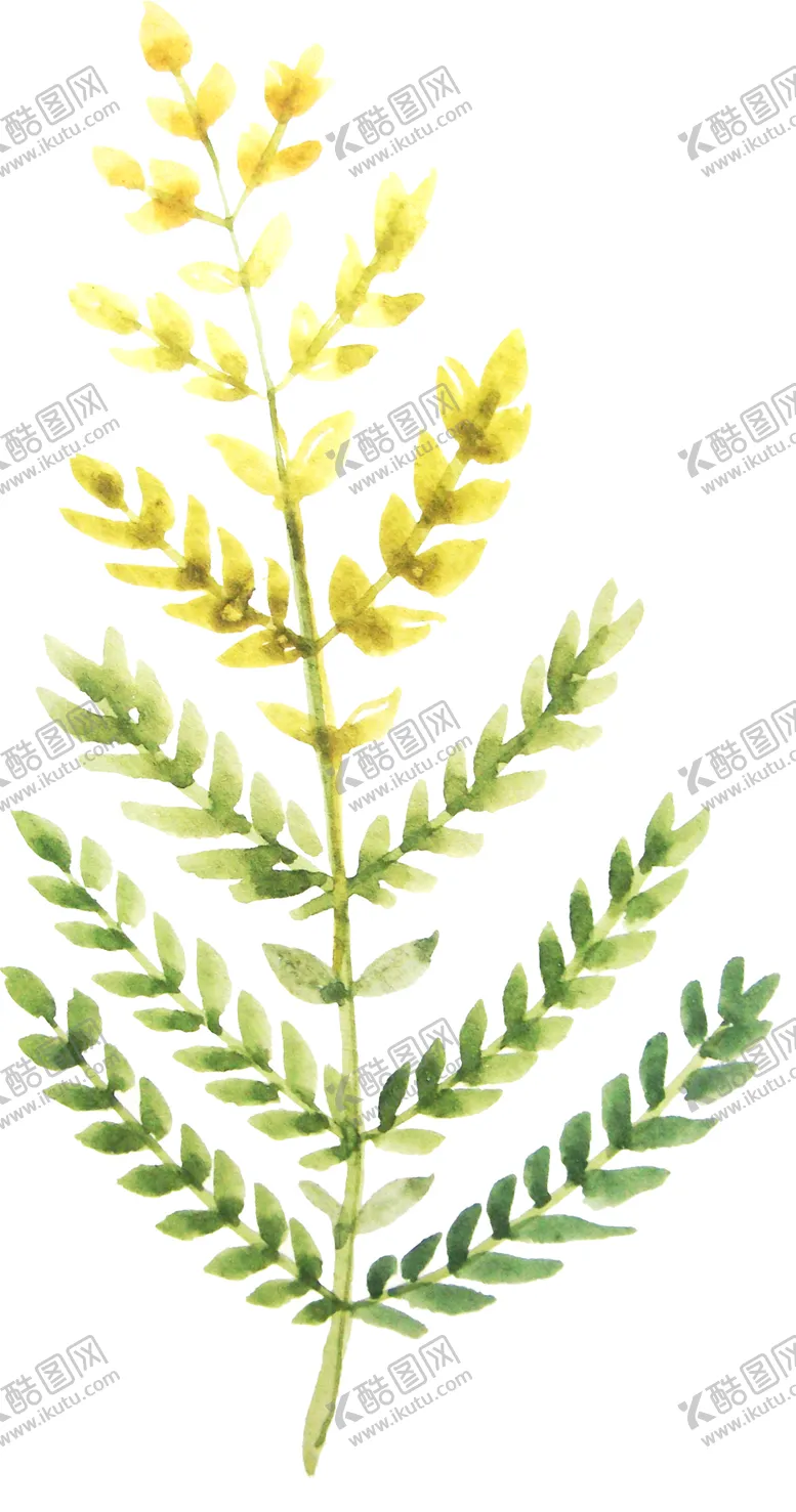 编号：31474606170247445890【酷图网】源文件下载-彩绘枝叶
