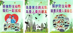 保护野生动物