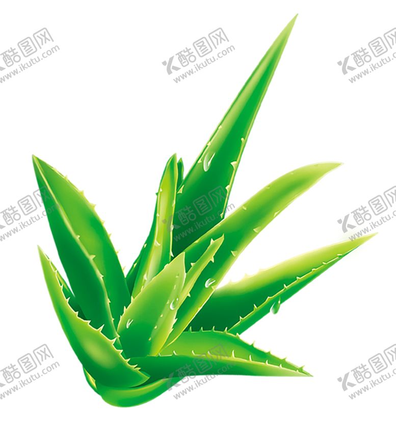 编号：63902610240632464275【酷图网】源文件下载-绿色装饰