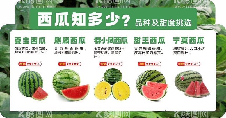 编号：42376702200118486129【酷图网】源文件下载-水果西瓜店招