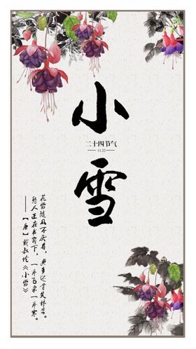 二十四节气小雪雨水芒种冬至