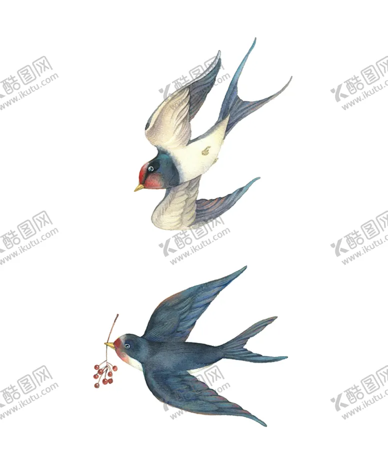 编号：17309606271910466575【酷图网】源文件下载-燕子素材