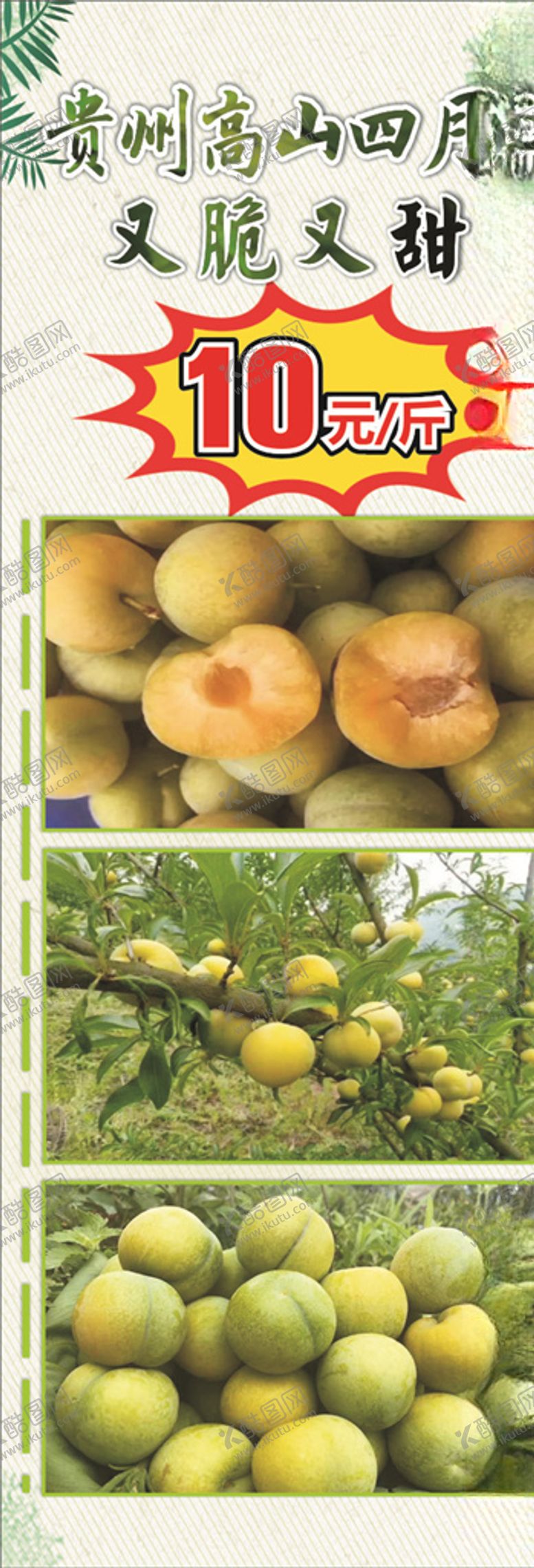 编号：33958810290809318805【酷图网】源文件下载-李子果海报