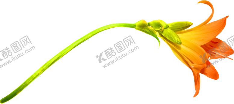 编号：23751810081858048819【酷图网】源文件下载-浪漫素材