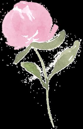 水彩花卉PNG图png图圈透明图