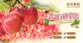 有机苹果水果海报