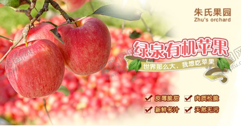 编号：16327410280054356903【酷图网】源文件下载-有机苹果