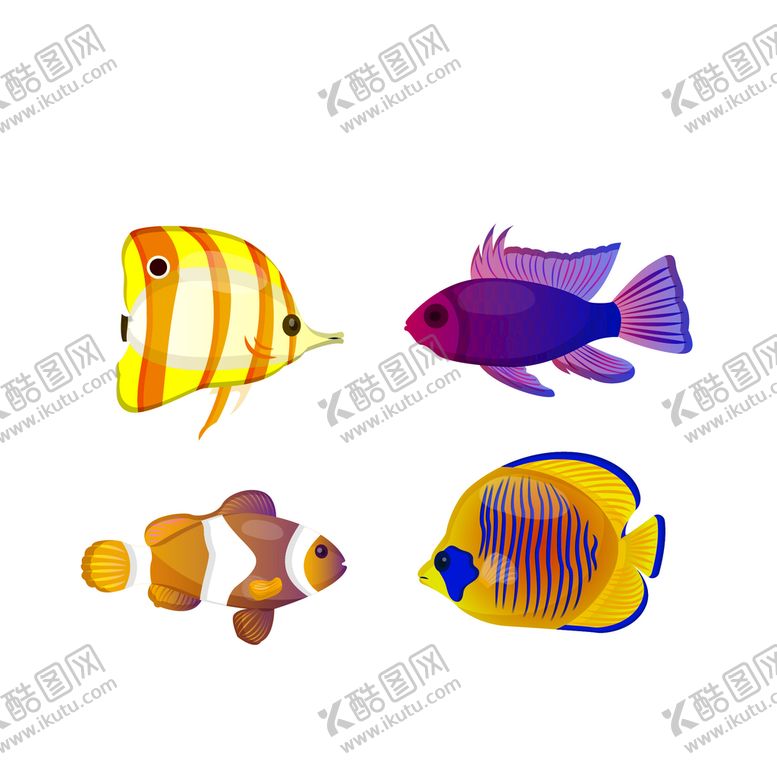 编号：50246101291033108255【酷图网】源文件下载-海洋生物