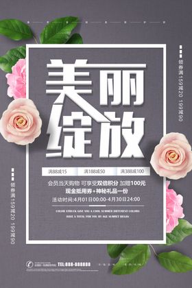 美丽绽放