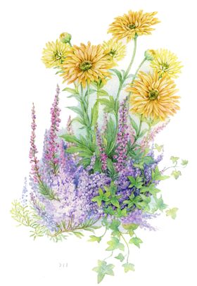 水墨菊花