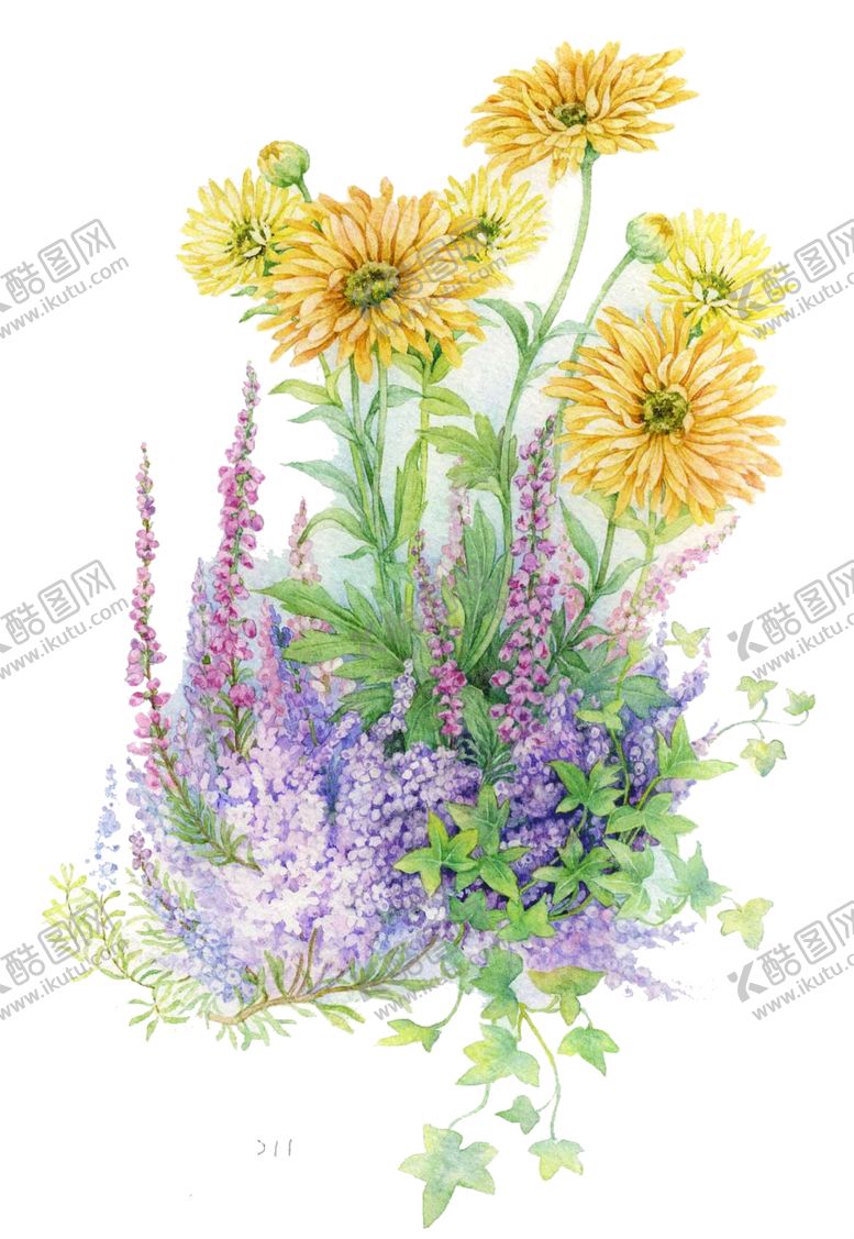 编号：90526207022239559353【酷图网】源文件下载-水墨菊花