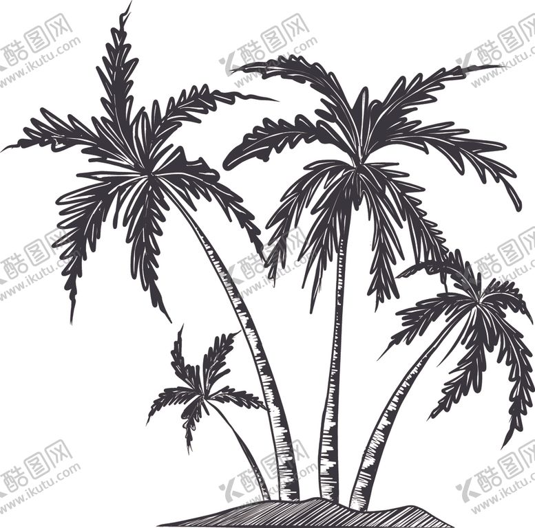树木剪影根植物叶