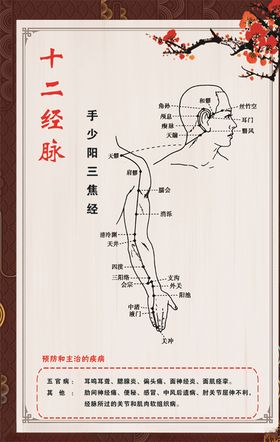 手少阳三焦经