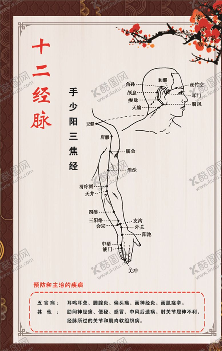 编号：53786209120714297149【酷图网】源文件下载-手少阳三焦经
