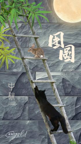 中秋节节日节气海报