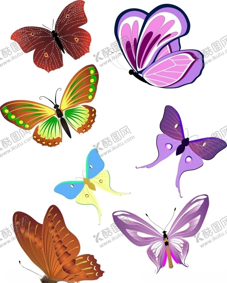 编号：30418010041522215771【酷图网】源文件下载-蝴蝶