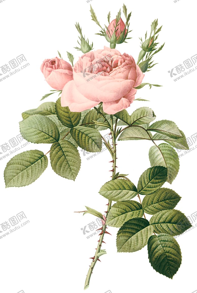 编号：77603210070102262228【酷图网】源文件下载-植物花卉油画装饰画