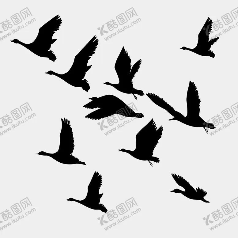 编号：67186810181554459088【酷图网】源文件下载-大雁