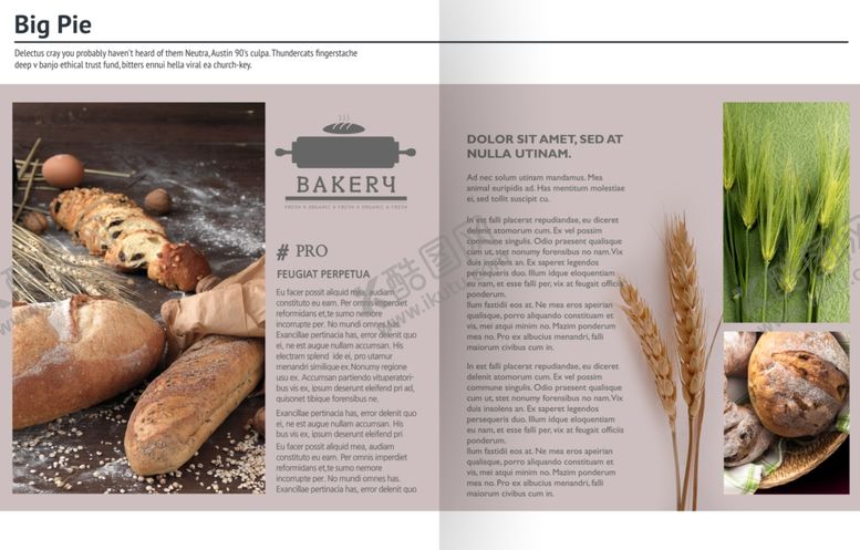 编号：43720910070920374854【酷图网】源文件下载-美食画册