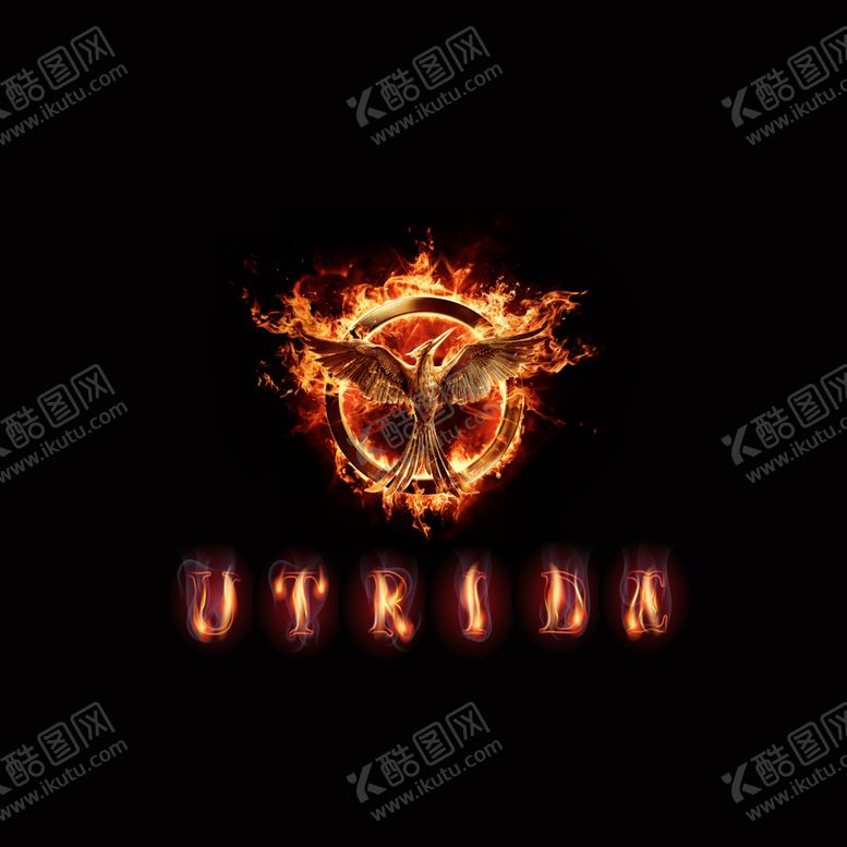 编号：92194809100253522181【酷图网】源文件下载-涅槃中的唯美烈火金质凤凰