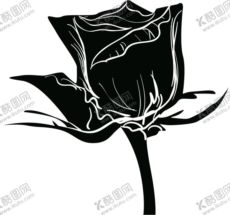 编号：20899505061630417141【酷图网】源文件下载-鲜花素材
