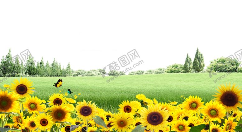 编号：60965210161700501358【酷图网】源文件下载-草地