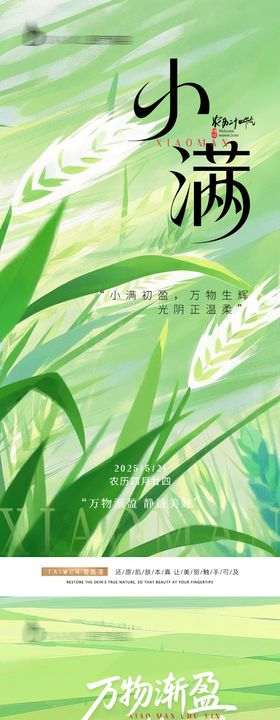 夏日节气小满海报