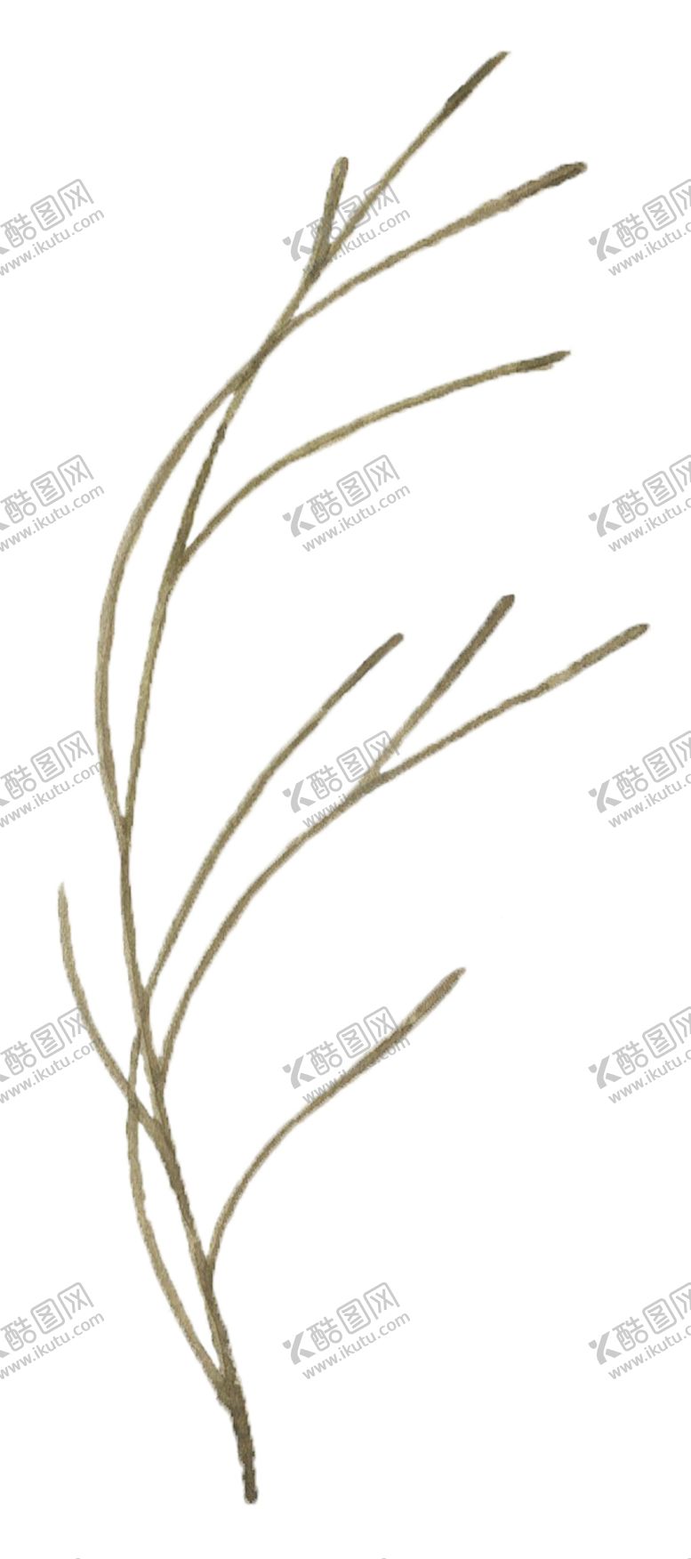 编号：14100405110505272339【酷图网】源文件下载-手绘植物花卉