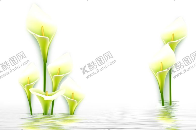 编号：79541309271902022102【酷图网】源文件下载-百合花