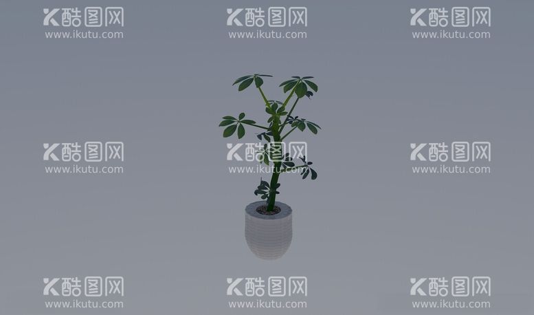 编号：48530512191358153406【酷图网】源文件下载-3D家居植物模型