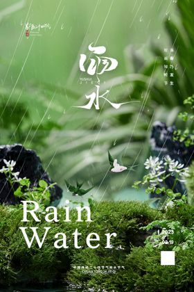 雨水节气简约海报