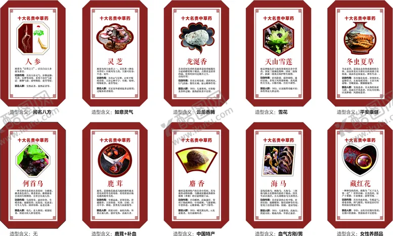 编号：37641510100935551973【酷图网】源文件下载-十大名贵中草药高清精排