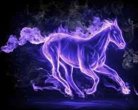 动感紫色马