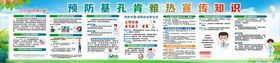 预防基孔肯雅热科普知识宣传栏