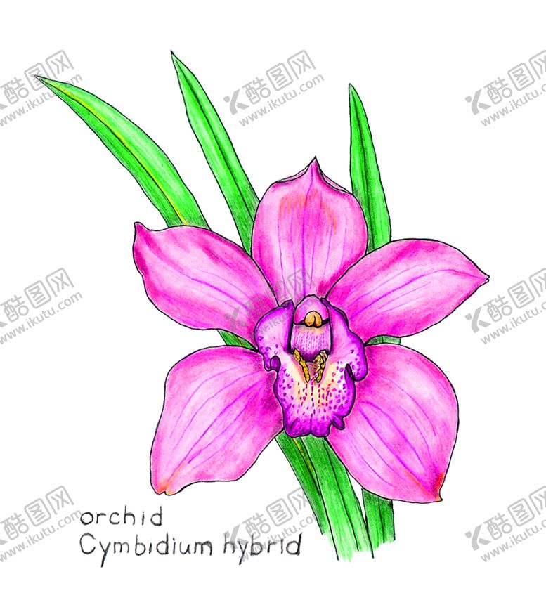 编号：83321509281854329259【酷图网】源文件下载-鲜花装饰