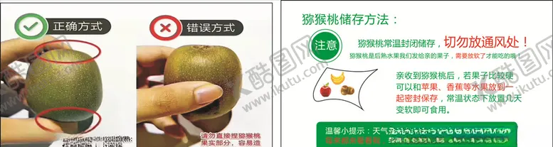 编号：40880704290035406487【酷图网】源文件下载-猕猴桃