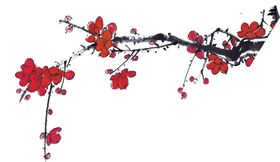 中国风水墨梅节日花花工笔画