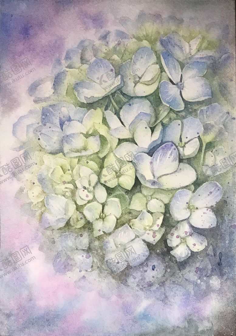 编号：99078909201106508533【酷图网】源文件下载-水彩画绣球小清新唯美