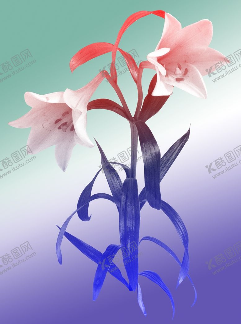 编号：11213709121306495184【酷图网】源文件下载-百合花装饰画