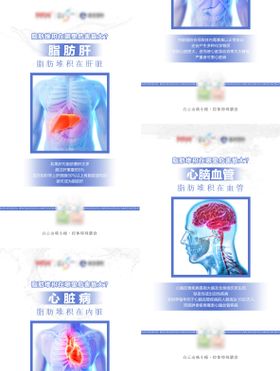 微商脂肪与疾病系列海报