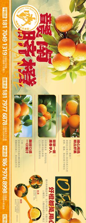 赣南脐橙生态水果