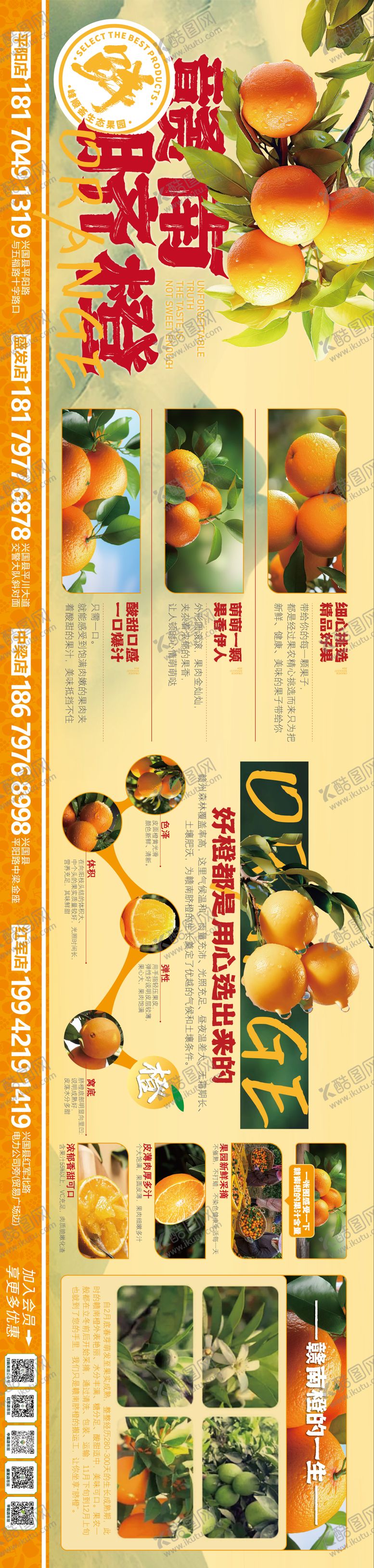 编号：95358311131853172782【酷图网】源文件下载-赣南脐橙生态水果