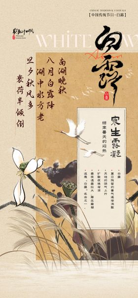 白露国风节气海报
