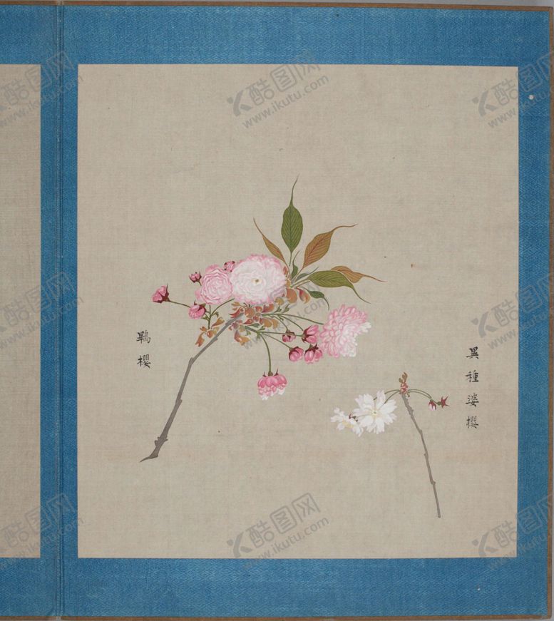 编号：38246604151031445240【酷图网】源文件下载-樱花