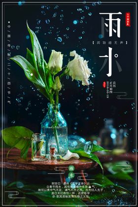 雨水植树节立春展板立春广告春分